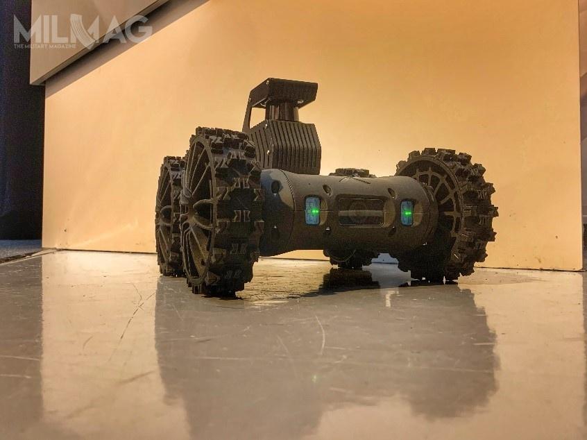 Nerva-LG jest odporny na wstrząsy i wodę oraz na uszkodzenia mechaniczne. Może pokonywać przeszkody terenowe o wysokości do 10 cm / Zdjęcie: DGA