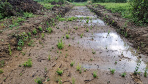 błotnista ścieżka na poligonie