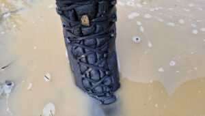 zanurzony but prabos striker high